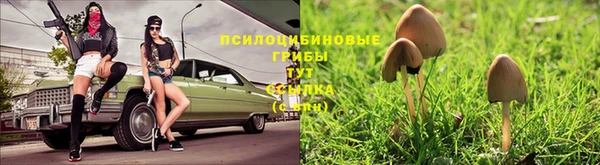 меф VHQ Кодинск