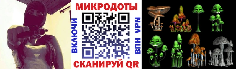 Галлюциногенные грибы Psilocybe  Купить  Бородино 